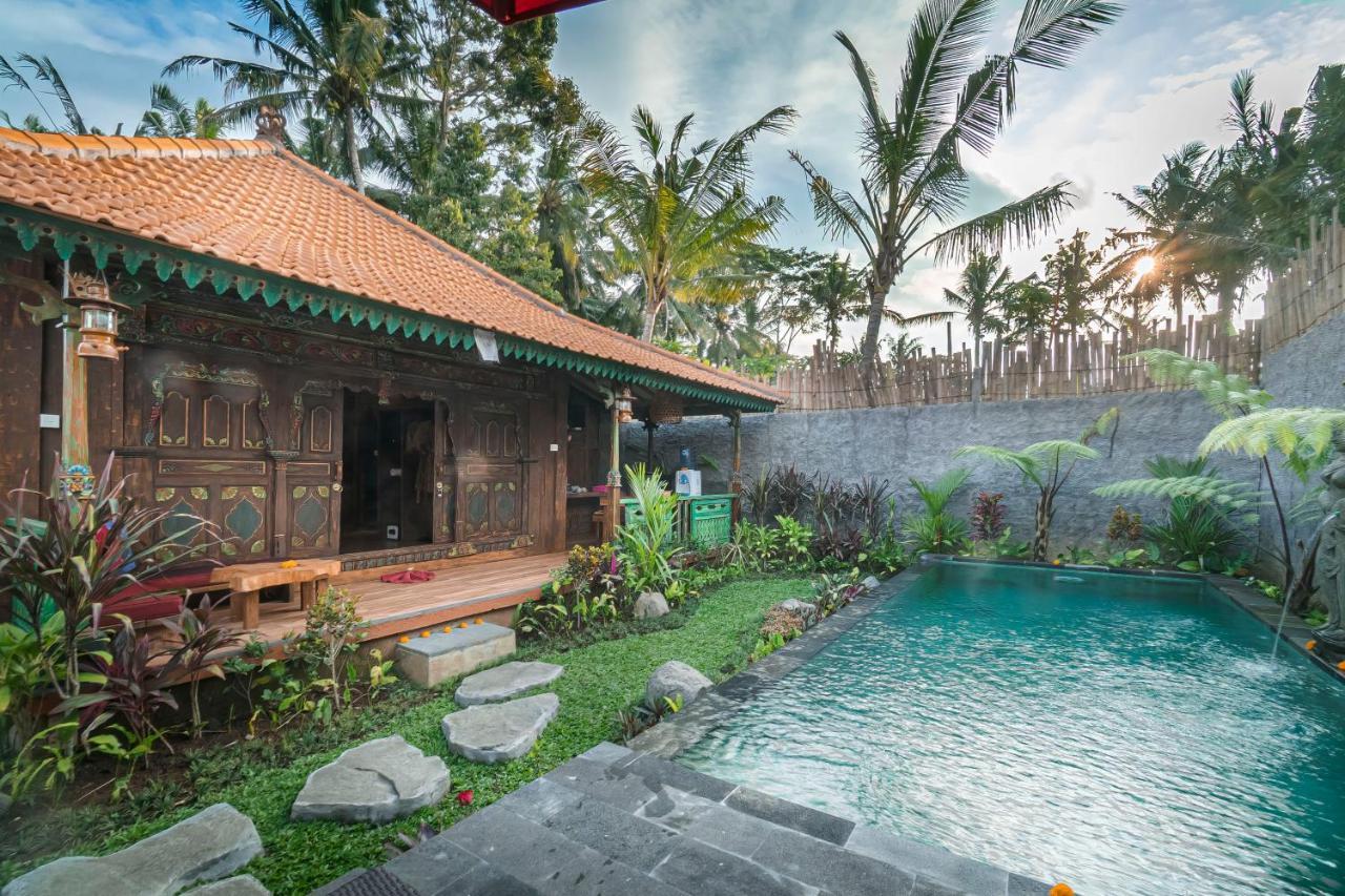 The Forest Batu Kurung Ubud Ngoại thất bức ảnh